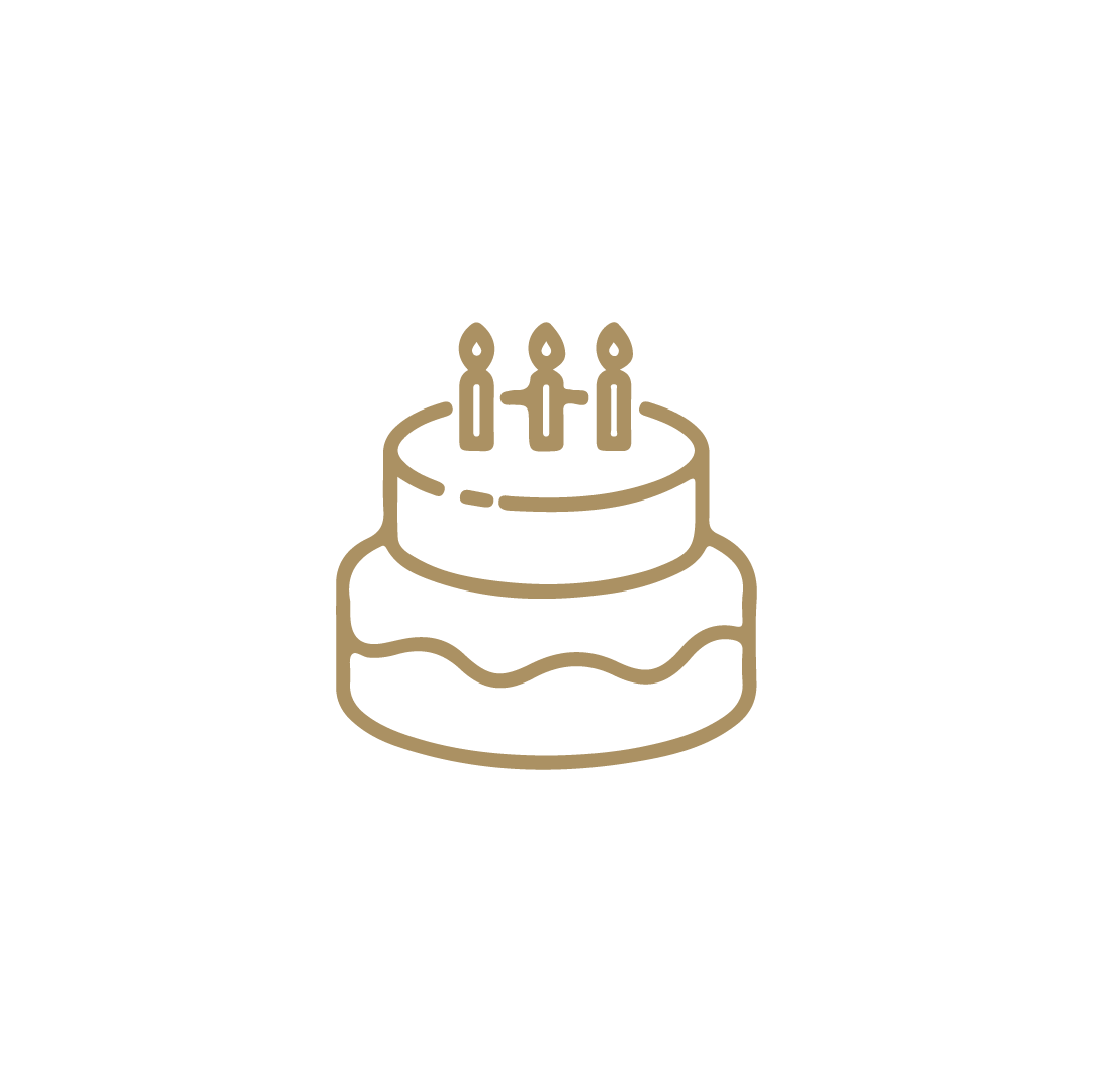 birthday cake icon
