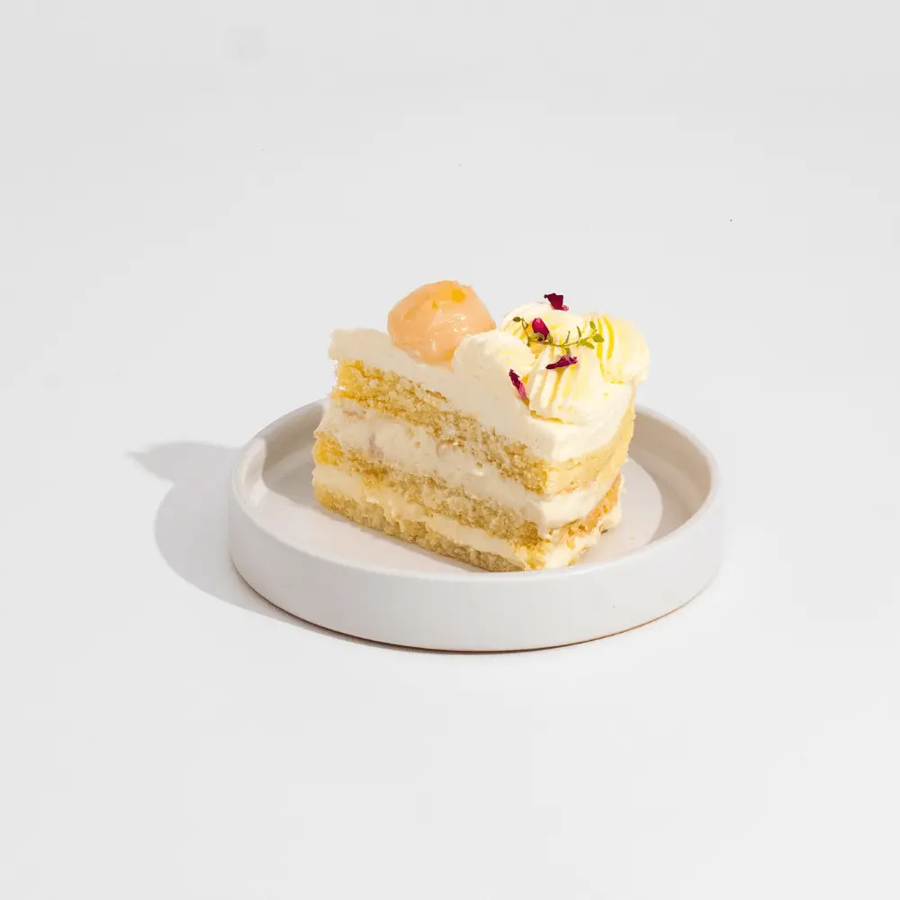 LCC slice Square-min.webp